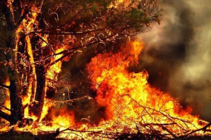Proroga periodo a rischio incendi boschivi fino al 13 settembre 2026