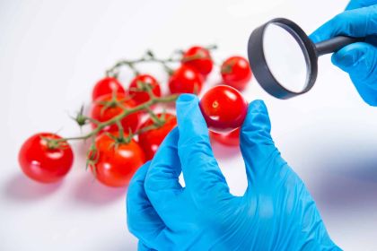 Sicurezza alimentare: misure preventive per il consumo di pomodorini crudi - Emergenza salmonella