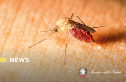 Prevenzione, sorveglianza ed interventi in risposta alla circolazione dei virus della West Nile disease e dell’Usutu Prevenzione, sorveglianza ed interventi in risposta alla circolazione dei virus della West Nile disease e dell’Usutu
