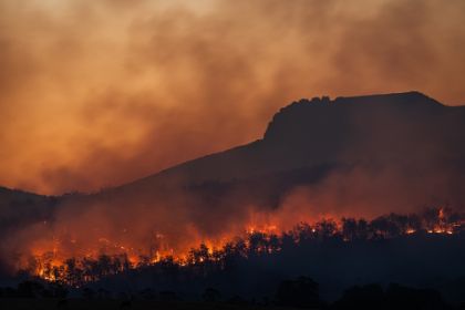 ISTITUZIONE A RISCHIO INCENDI BOSCHIVI DAL 21 GIUGNO AL 31 AGOSTO 2025