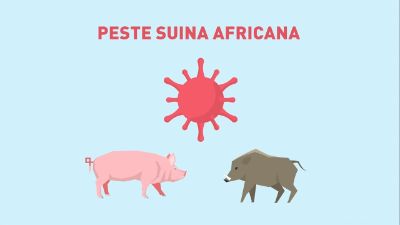 Logo - Peste suina