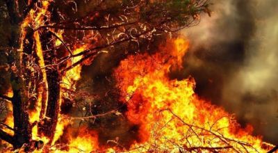 Logo - Incendio