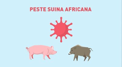 Logo - Peste suina